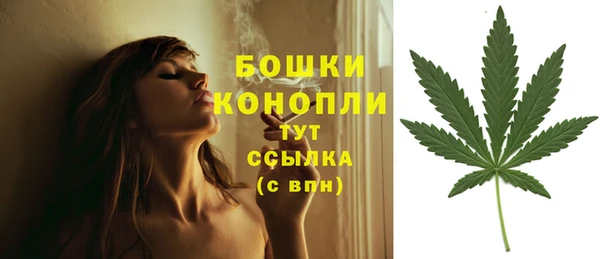 бошки Переславль-Залесский