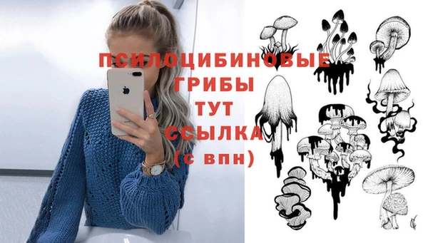 бошки Переславль-Залесский