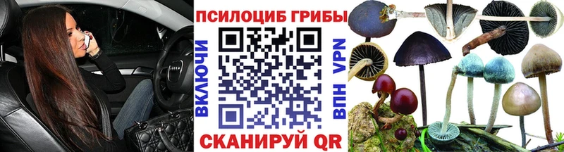 shop формула  ссылка на мегу ссылки  Фрязино  Галлюциногенные грибы мицелий 