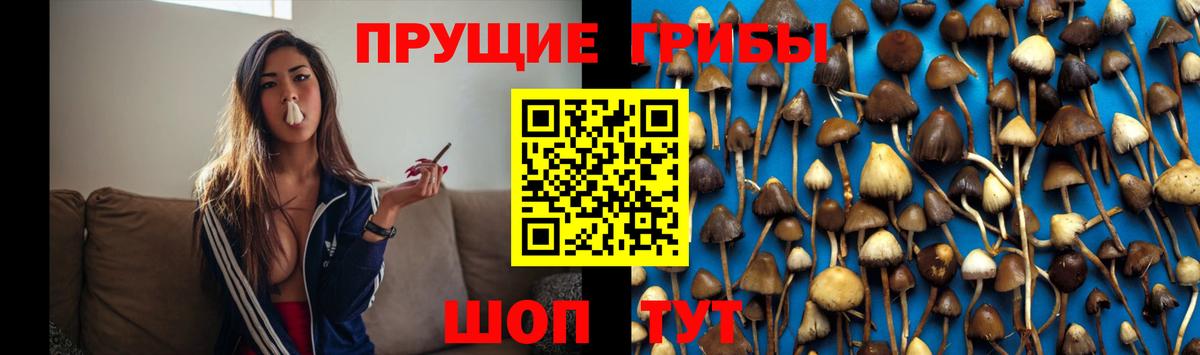 Галлюциногенные грибы прущие грибы Фрязино